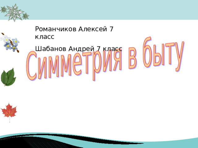 Романчиков Алексей 7 класс Шабанов Андрей 7 класс   