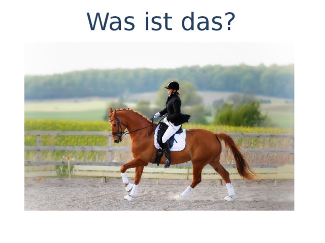 Was ist das? 
