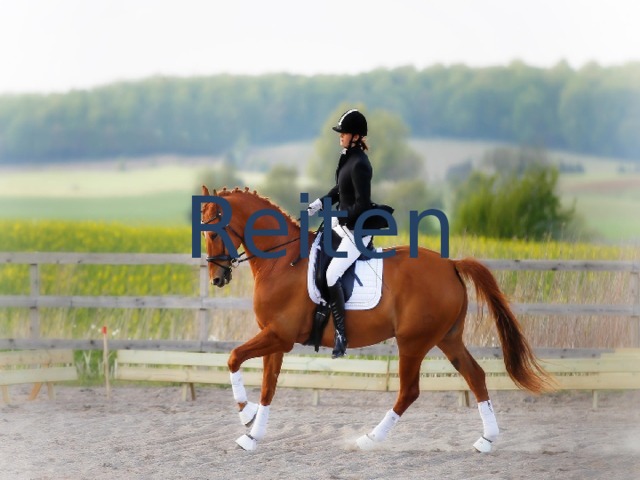 Reiten 