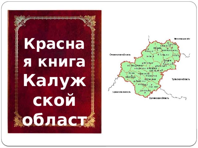 Красная книга Калужской области 