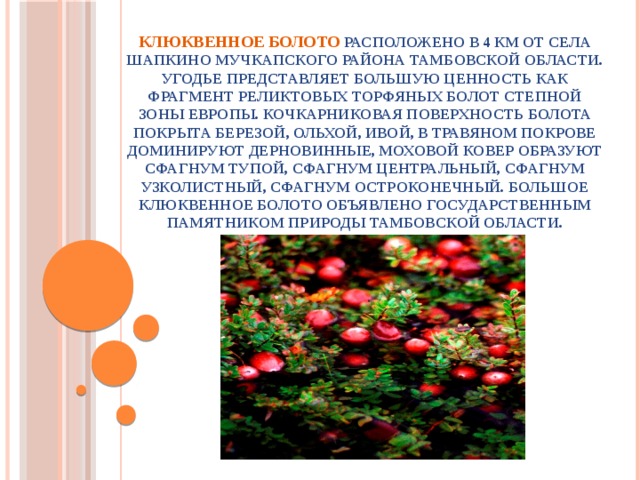 Клюквенное болото расположено в 4 км от села Шапкино Мучкапского района Тамбовской области. Угодье представляет большую ценность как фрагмент реликтовых торфяных болот степной зоны Европы.  Кочкарниковая поверхность болота покрыта березой, ольхой, ивой, в травяном покрове доминируют дерновинные, моховой ковер образуют сфагнум тупой, сфагнум центральный, сфагнум узколистный, сфагнум остроконечный. Большое Клюквенное болото объявлено государственным памятником природы Тамбовской области.   