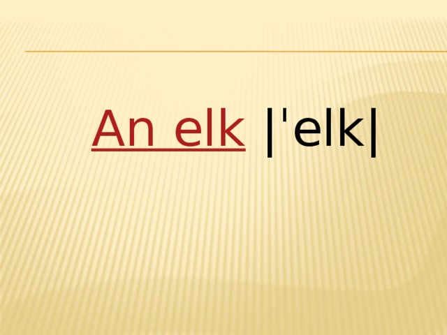 An elk  |ˈelk|   