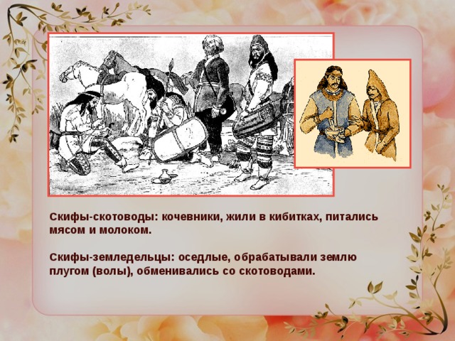 Скифы-скотоводы: кочевники, жили в кибитках, питались мясом и молоком. Скифы-земледельцы: оседлые, обрабатывали землю плугом (волы), обменивались со скотоводами. 