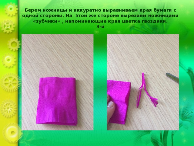 Берем ножницы и аккуратно выравниваем края бумаги с одной стороны. На этой же стороне вырезаем ножницами «зубчики» , напоминающие края цветка гвоздики.  3-й 
