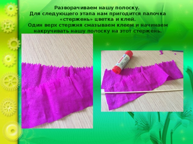 Разворачиваем нашу полоску.  Для следующего этапа нам пригодится палочка «стержень» цветка и клей.  Один верх стержня смазываем клеем и начинаем накручивать нашу полоску на этот стержень. 