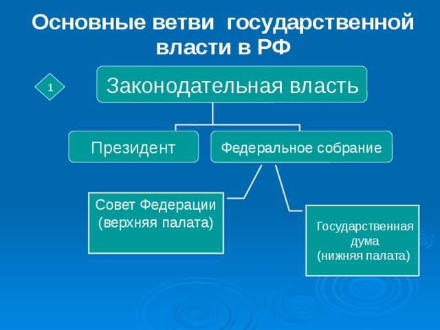 Укажите в схеме ветви государственной власти в российской федерации