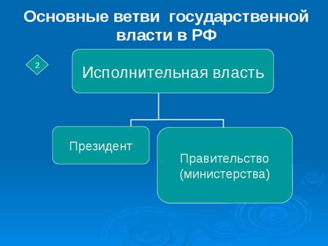 Основная ветка. Ветви государственной власти. 4 Основных ветви специальностей.