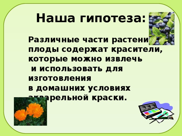 Наша гипотеза: Различные части растений и плоды содержат красители, которые можно извлечь  и использовать для изготовления в домашних условиях акварельной краски. 