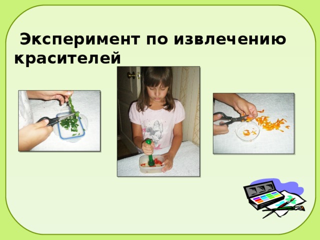  Эксперимент по извлечению красителей 