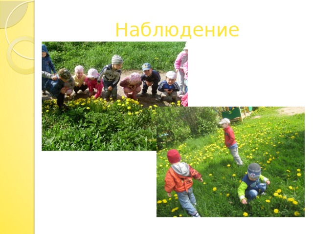 Наблюдение