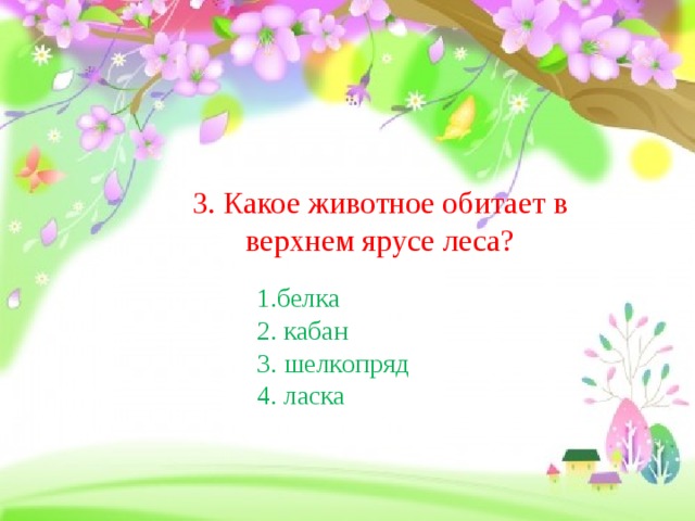 3. Какое животное обитает в верхнем ярусе леса? 1.белка 2. кабан 3. шелкопряд 4. ласка  