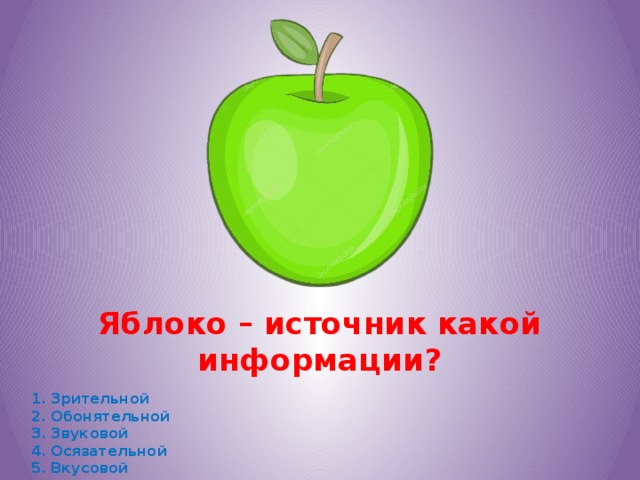 Яблоко – источник какой информации?