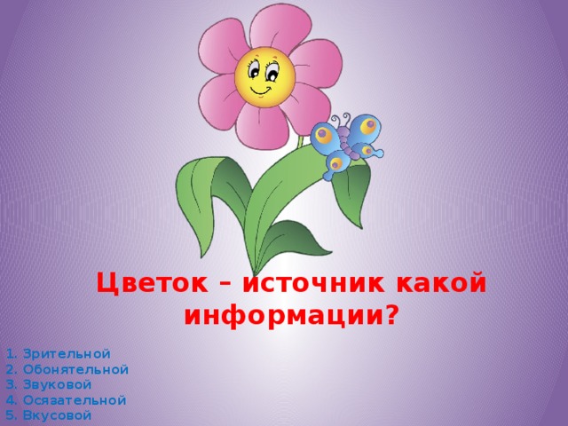 Цветок – источник какой информации?