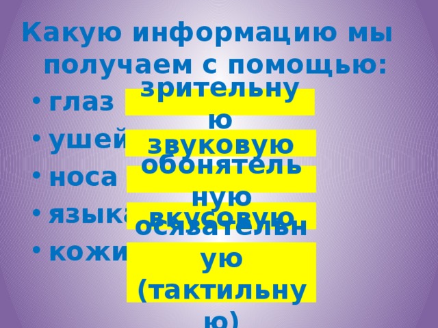 Какую информацию мы получаем с помощью: глаз ушей носа языка кожи зрительную звуковую обонятельную вкусовую осязательную (тактильную)