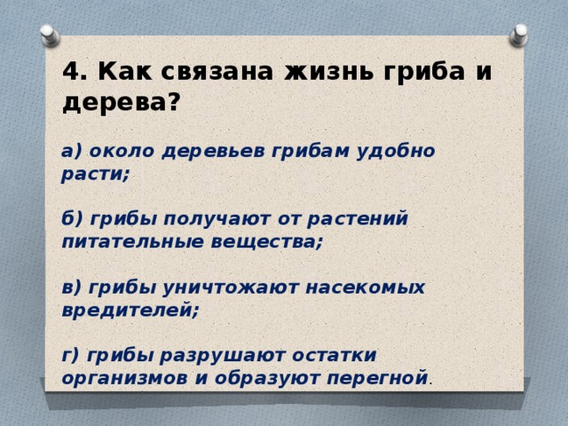 Вопросы связанные с жизнью. Как связаны жизнь гриба и дерева. Как связана жизнь грибов и дерева. Как связана жизнь гриба и дерева? Около деревьев грибам удобно расти;. Как связана жизнь гриба и дерева ответ 3 класс.