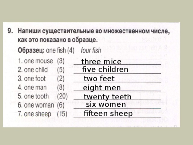 Fish множественное число