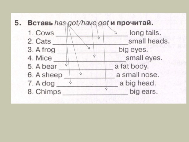 Mice long tails перевод. Вставить have got has got. Вставь has got have got и прочитай Cows. Cows have got или has. Have got has got 3 класс.