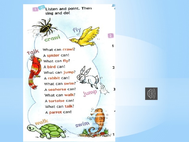 Crawl spider fly bird jump rabbit swim. Clever animals презентация 3 класс. Clever animals 3 класс Spotlight. Презентация animals 3 класс. What can Crawl a Spider can транскрипция.