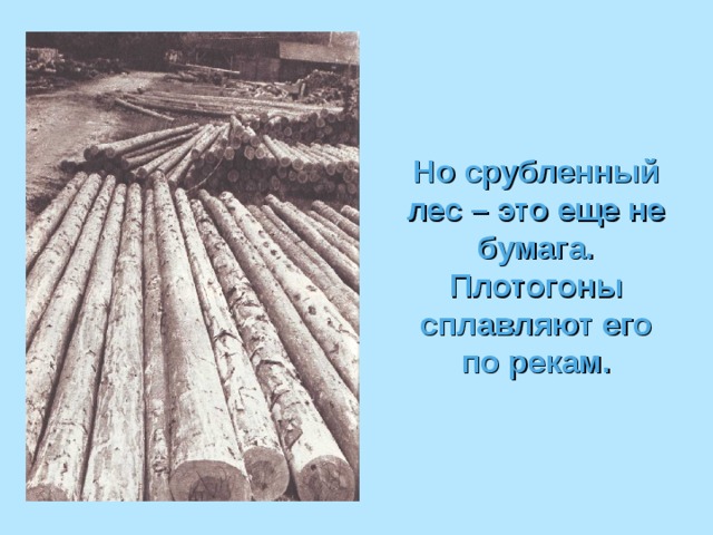Но срубленный лес – это еще не бумага. Плотогоны сплавляют его по рекам. 