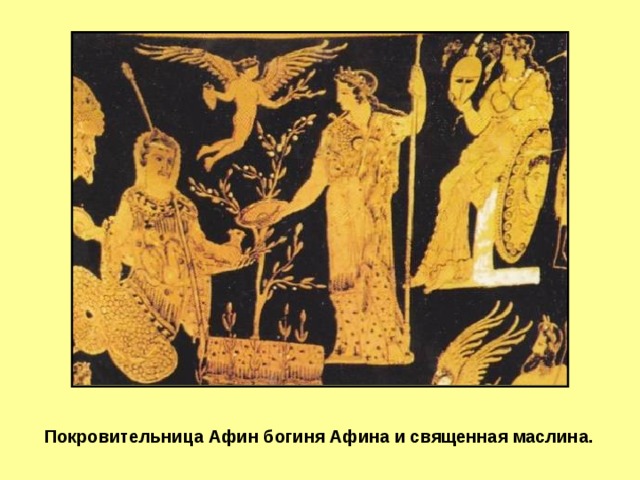 Слайд 2 Покровительница Афин богиня Афина и священная маслина.  