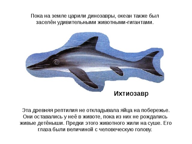 Первичноводные и вторичноводные животные
