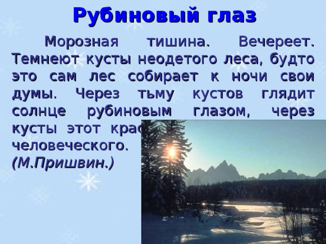 Рубиновый глаз  Морозная тишина. Вечереет. Темнеют кусты неодетого леса, будто это сам лес собирает к ночи свои думы. Через тьму кустов глядит солнце рубиновым глазом, через кусты этот красный глаз не больше человеческого. (М.Пришвин.)