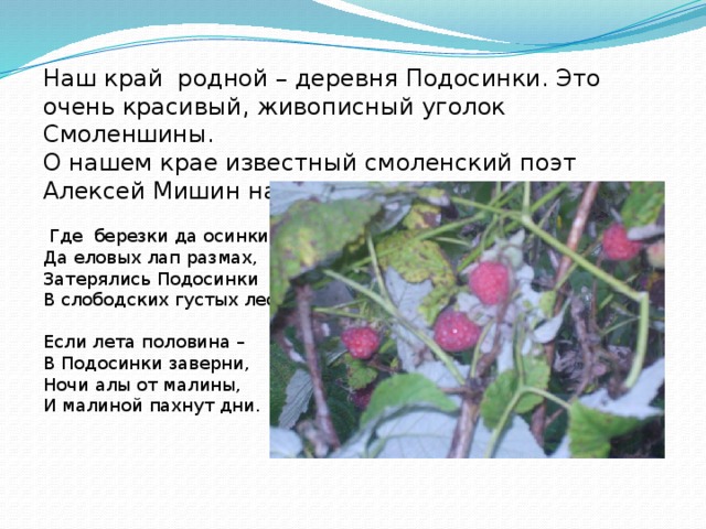Наш край родной – деревня Подосинки. Это очень красивый, живописный уголок Смоленшины. О нашем крае известный смоленский поэт Алексей Мишин написал стихотворение.  Где березки да осинки, Да еловых лап размах, Затерялись Подосинки В слободских густых лесах. Если лета половина – В Подосинки заверни, Ночи алы от малины, И малиной пахнут дни. 