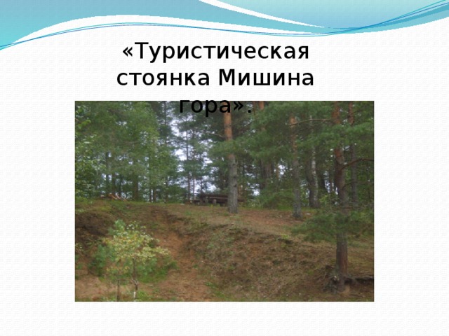 «Туристическая стоянка Мишина гора». 