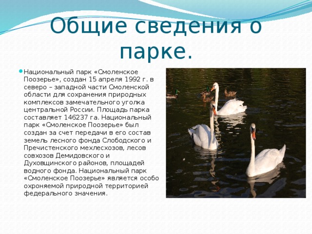 Общие сведения о парке. Национальный парк «Смоленское Поозерье», создан 15 апреля 1992 г. в северо – западной части Смоленской области для сохранения природных комплексов замечательного уголка центральной России. Площадь парка составляет 146237 га. Национальный парк «Смоленское Поозерье» был создан за счет передачи в его состав земель лесного фонда Слободского и Пречистенского мехлесхозов, лесов совхозов Демидовского и Духовщинского районов, площадей водного фонда. Национальный парк «Смоленское Поозерье» является особо охроняемой природной территорией федерального значения. 
