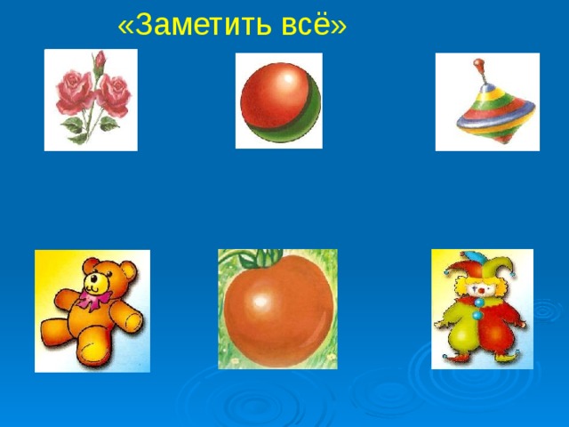 «Заметить всё» 