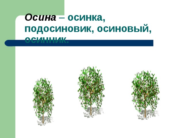 Осина – осинка, подосиновик, осиновый, осинник.   