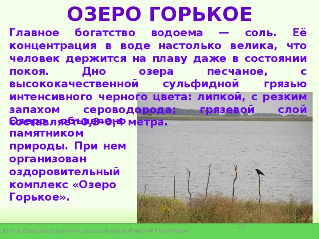 Горько соленая вода. Горькое озеро Новосибирская область Новоключи. Озеро горькое Купинский район. Солёное озеро горькое Курганская область. Озеро горькое Щучанский район.