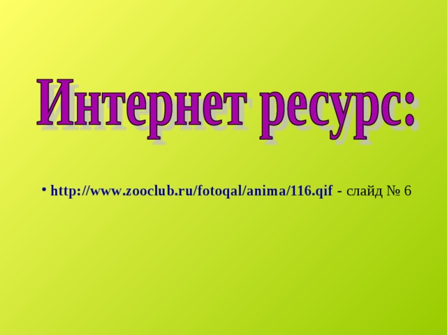  http:// www . zooclub . ru / fotoqal / anima /116. qif  - слайд № 6 