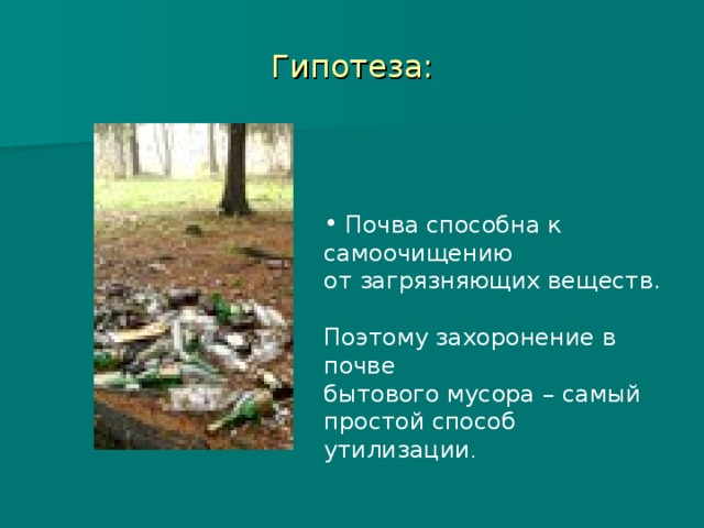 Гипотеза:  Почва способна к самоочищению от загрязняющих веществ. Поэтому захоронение в почве бытового мусора – самый простой способ утилизации . 