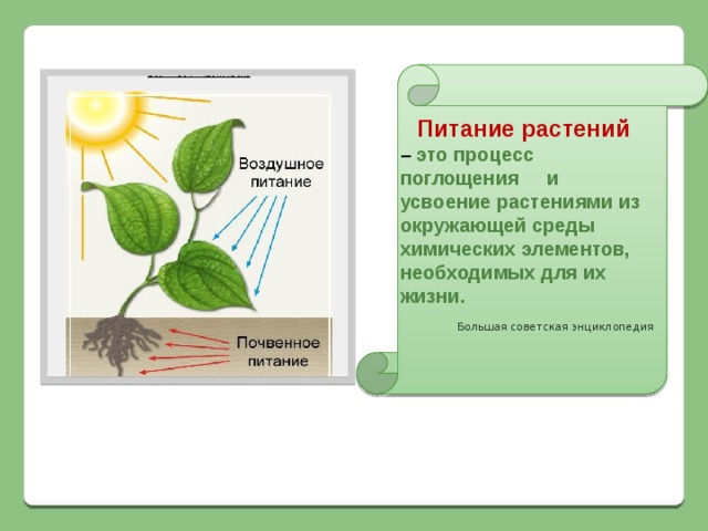 Питание растений  – это процесс поглощения  и усвоение растениями из окружающей среды химических элементов, необходимых для их жизни. Большая советская энциклопедия 