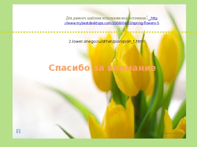 Для данного шаблона использовались источники :  http ://www.mybestdesktops.com/2008/04/03/spring-flowers-5 2.lower.onego.ru/other/pion/pion_t.html Спасибо за внимание 
