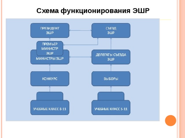 Схема функционирования ЭШР 
