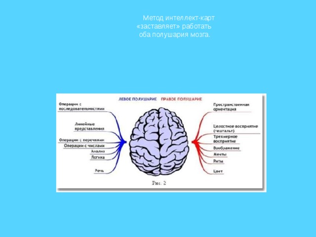  Метод интеллект-карт «заставляет» работать оба полушария мозга. 
