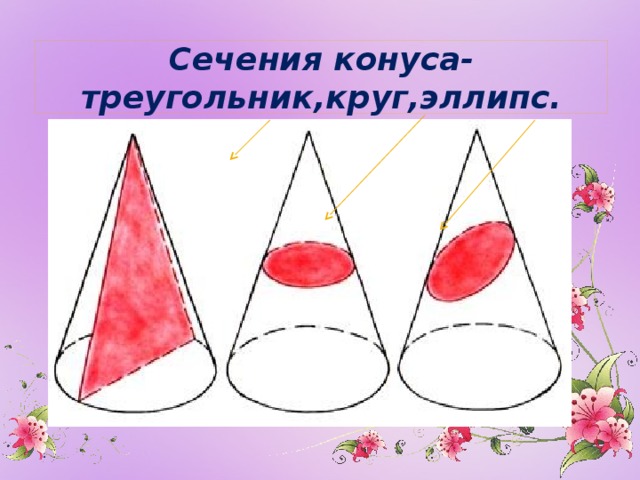 Сечения конуса-треугольник,круг,эллипс. 