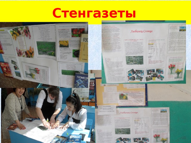 Стенгазеты   