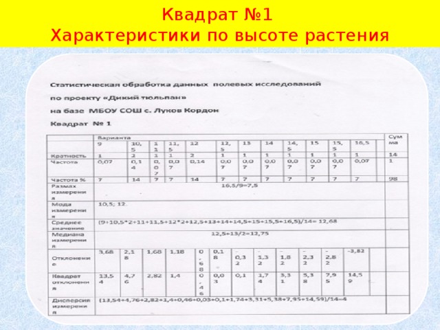 Квадрат №1  Характеристики по высоте растения 