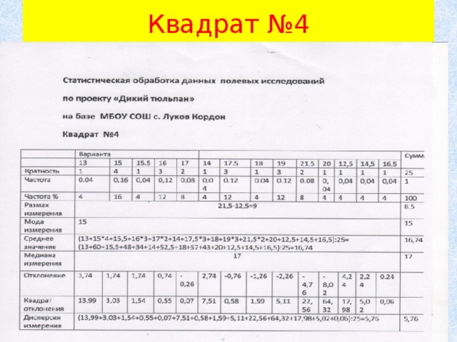 Квадрат №4 