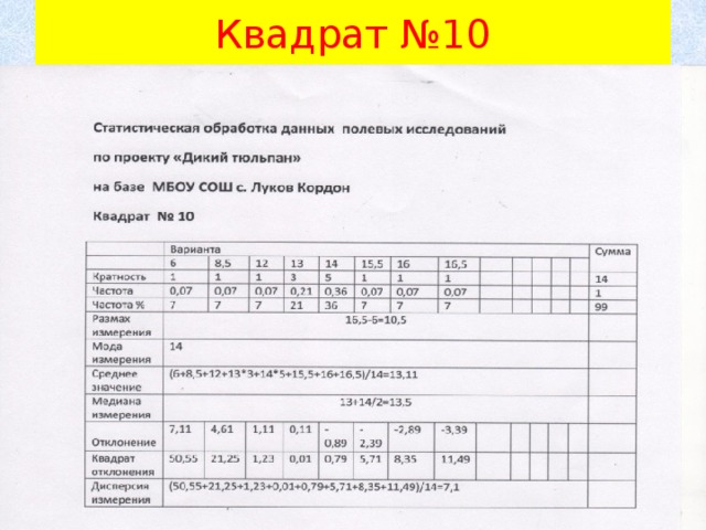 Квадрат №10 