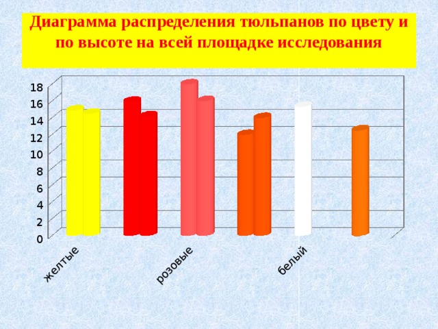 Диаграмма распределения тюльпанов по цвету и по высоте на всей площадке исследования   