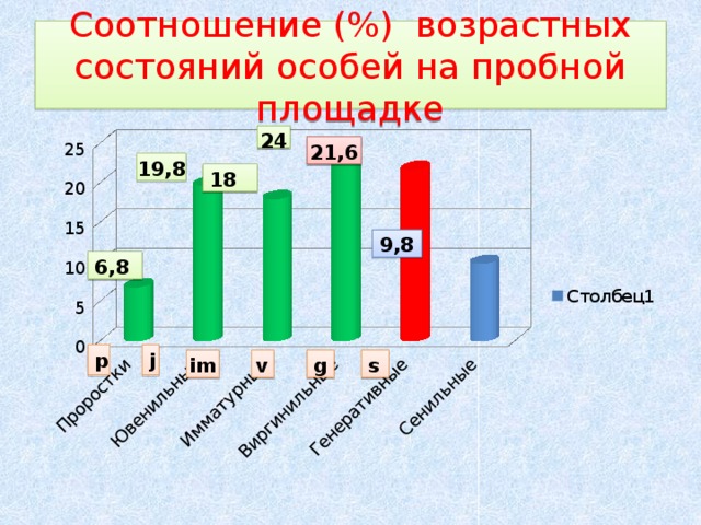 24 21,6 Соотношение (%) возрастных состояний особей на пробной площадке 19,8 18 9,8 6,8 g s im v p j 