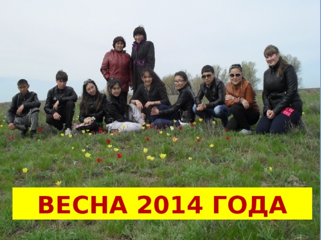 Весна 2014 года 
