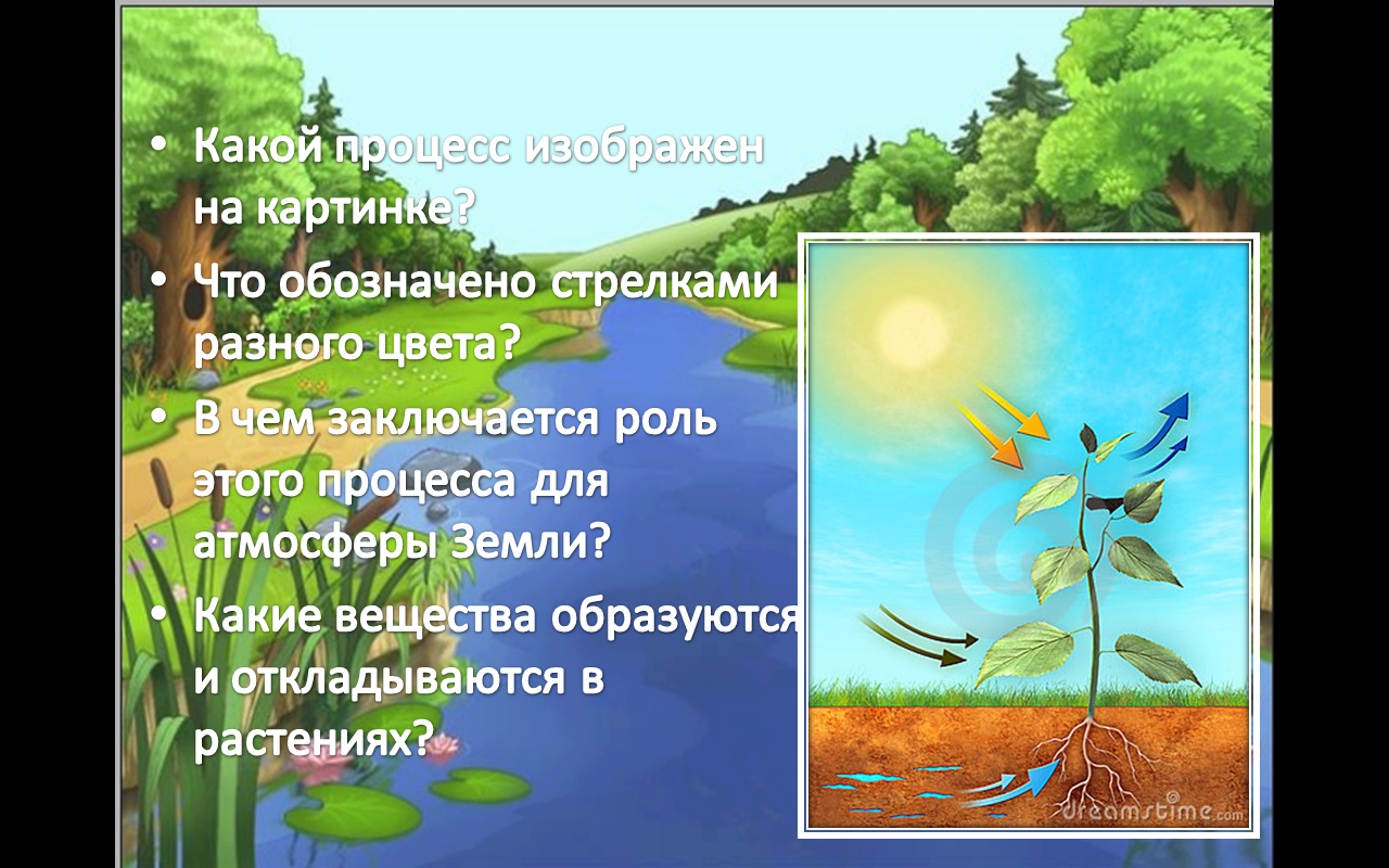 Какие имеют растения в природе. Коль растений в природе. Роль растений в природе. Роль растений в природе и жизни человека. Важность растений в природе.