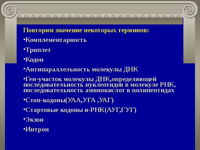 Повторим значение некоторых терминов: Комплементарность Триплет Кодон Антипараллельность молекулы ДНК Ген-участок молекулы ДНК,определяющей последовательность нуклеотидов в молекуле РНК, последовательность аминокислот в полипептидах Стоп-кодоны(УАА,УГА ,УАГ) Стартовые кодоны и-РНК(АУГ,ГУГ) Экзон Интрон   