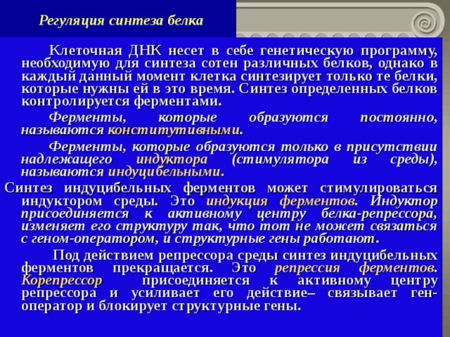  Регуляция синтеза белка   Клеточная ДНК несет в себе генетическую программу, необходимую для синтеза сотен различных белков, однако в каждый данный момент клетка синтезирует только те белки, которые нужны ей в это время. Синтез определенных белков контролируется ферментами.   Ферменты, которые образуются постоянно, называются конститутивными .   Ферменты, которые образуются только в присутствии надлежащего индуктора (стимулятора из среды), называются индуцибельными. Синтез индуцибельных ферментов может стимулироваться индуктором среды. Это индукция ферментов . Индуктор присоединяется к активному центру белка-репрессора, изменяет его структуру так, что тот не может связаться с геном-оператором, и структурные гены работают.    Под действием репрессора среды синтез индуцибельных ферментов прекращается. Это репрессия ферментов . Корепрессор  присоединяется к активному центру репрессора и усиливает его действие– связывает ген-оператор и блокирует структурные гены.     