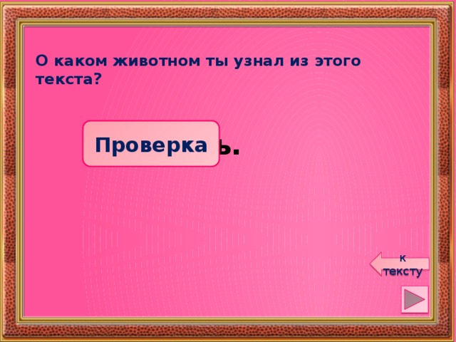 О каком животном ты узнал из этого текста? Проверка Медведь. к тексту 